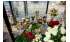 Изображение фотогаллереи №49 для раздела Стеклянные прилавки для цветочного магазина серии FLOWER