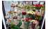 Изображение фотогаллереи №1 для раздела Витрины из профиля для цветочного магазина серии FLOWER
