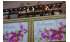 Изображение фотогаллереи №96 для раздела Настенные одно-секционные системы с полками для магазина цветов серии FLOWER