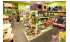 Изображение фотогаллереи №23 для раздела Витрины с подсветкой для продажи птиц в зоомагазин серии ЖАКО-С