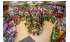 Изображение фотогаллереи №35 для раздела Витрины с искусственным камнем для цветочного магазина серии FLOWER