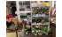 Изображение фотогаллереи №4 для раздела Хромированные стеллажи с прозрачными полками для магазина цветов серии FLOWER