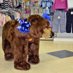 Медвежонок магазин детских товаров и одежды. ТЦ Фортуна