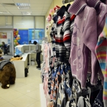 Фото №57 для проекта Медвежонок магазин детских товаров и одежды. ТЦ Фортуна