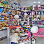 Фото №25 для проекта Магазин детских игрушек и развивающих игр. Балашихинское шоссе д59