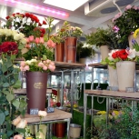 Фото №4 для проекта Фотографии торгового оборудования для цветочного магазина