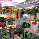 Фото №12 для проекта Фотографии торгового оборудования для цветочного магазина