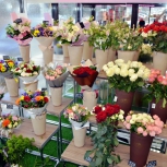 Фото №14 для проекта Фотографии торгового оборудования для цветочного магазина