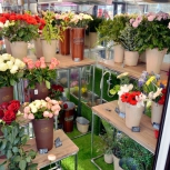 Фото №15 для проекта Фотографии торгового оборудования для цветочного магазина