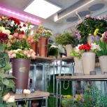 Фото №20 для проекта Фотографии торгового оборудования для цветочного магазина