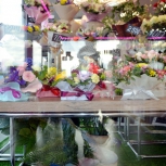 Фото №22 для проекта Фотографии торгового оборудования для цветочного магазина