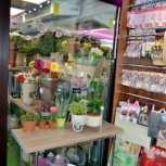 Фото №24 для проекта Фотографии торгового оборудования для цветочного магазина
