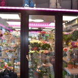 Фото №69 для проекта Фотографии торгового оборудования для цветочного магазина