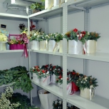 Фото №36 для проекта Фотографии оборудования для цветочного магазина
