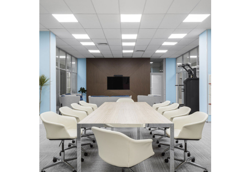 Стол для переговоров Диорус, цвет эвкалипт светлый + хром