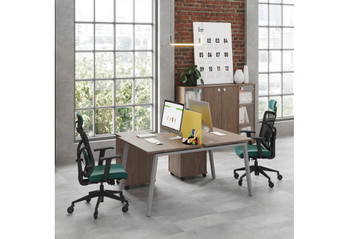 Стол на 2 рабочих места (с просветом) Апрель Альфа Вяз, цвет вяз