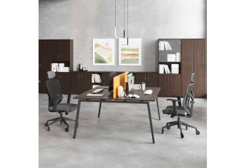 Стол на 2 рабочих места (с просветом) Апрель Альфа Венге, цвет венге