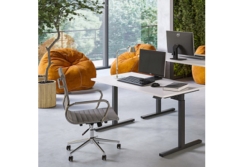 Стол электроподъемный Аплер, черный + белый бриллиант