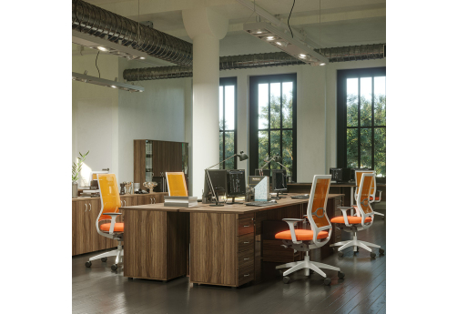 Рабочая станция на 4 человека Колибри, цвет палдао