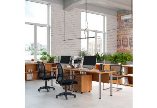 Рабочая станция на 2 человека Тарли Хром, цвет ольха