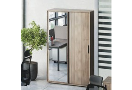 Шкаф-купе высокий Лиани, цвет шамони темный