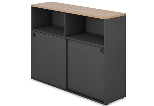 Шкаф-купе приставной Франклин Персонал, цвет дуб + антрацит