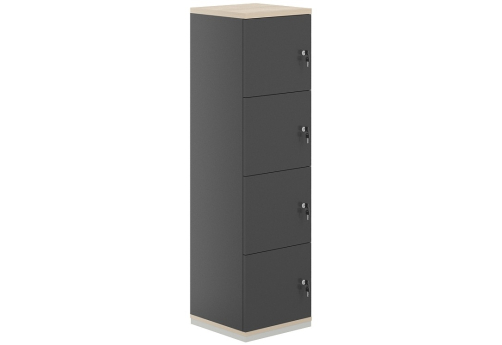 Локер 4 ячейки Фламинго, цвет антрацит + акация