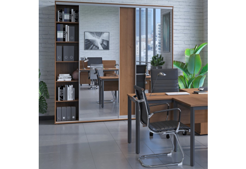 Шкаф-купе комбинированный Рио, цвет дуб аттик