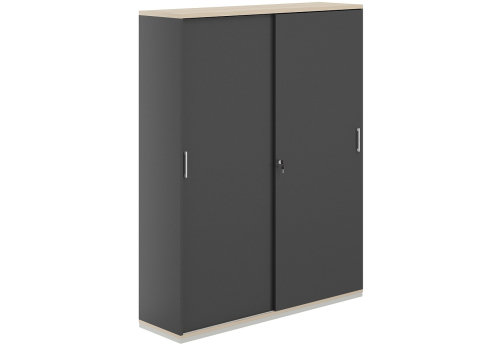 Шкаф-купе 5 уровней Фламинго, цвет антрацит + акация