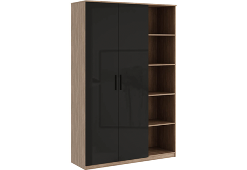 Гардероб с секцией с глянцевым фасадом Виенсо, цвет дуб + черный