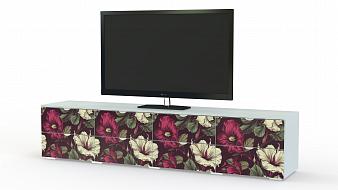 Тумба под ТВ Эдита 12 BMS