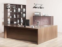 Кабинет руководителя Мирма 1 BMS