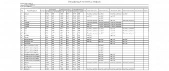 Прихожая с зеркалом Рада BMS