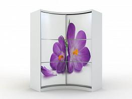 Шкаф-купе радиусный Артэй 20 BMS