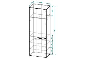 Распашной шкаф Селина-2 BMS