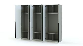 Шкаф распашной Реми 6 BMS