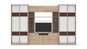 Шкаф купе TV-24 BMS