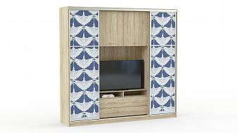 Шкаф купе TV-9 BMS