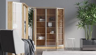 Книжный шкаф-купе Маргарита 6 BMS