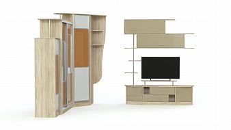 Шкаф купе TV-22 BMS
