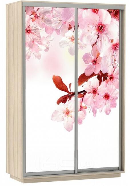 Шкаф-купе 1200x600x2200 Экспресс ЛДСП
