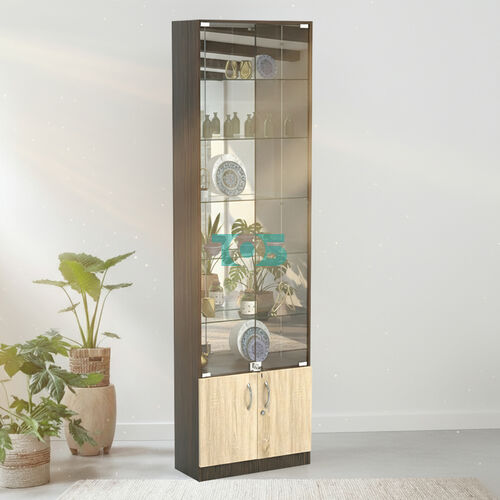 Торговая витрина с 5-ю стеклянными полками 250x600 мм серии NEXT-5 №4-2 (З/C - ЗЕРКАЛО)