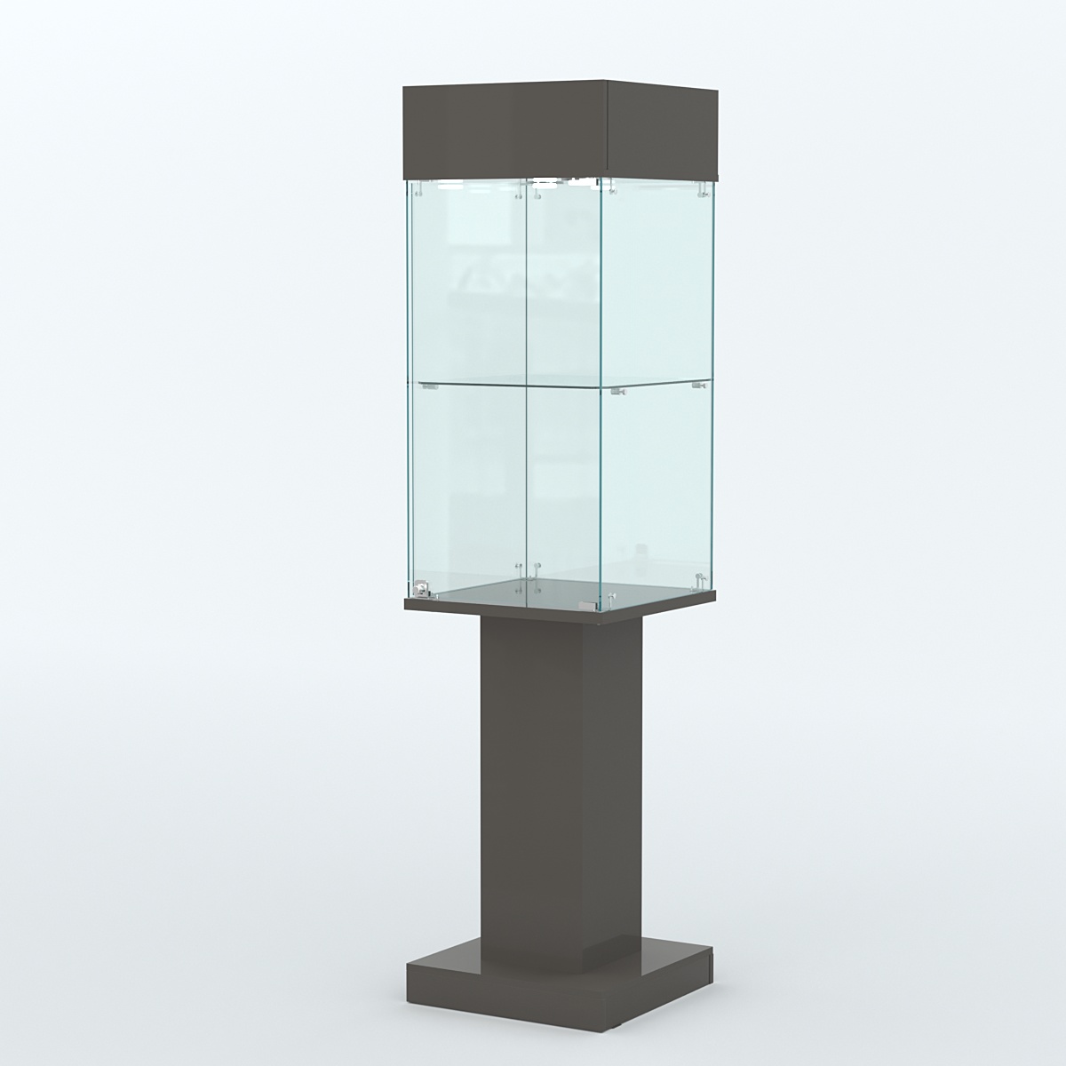 Витрина для музеев "Коллекция" №23 Черный