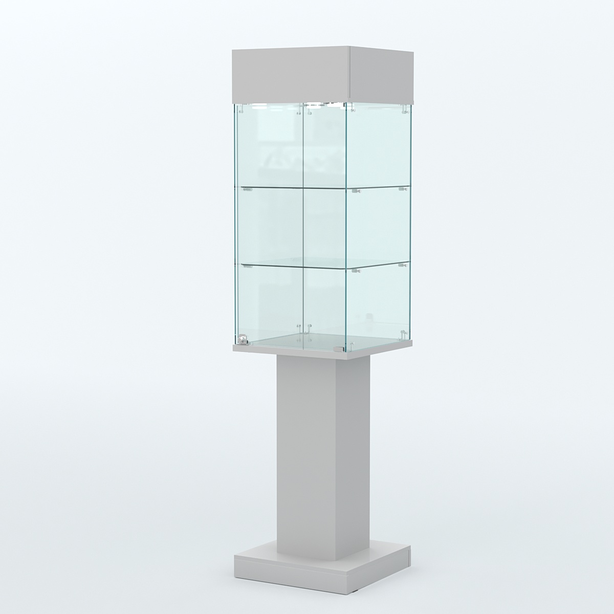 Витрина для музеев "Коллекция" №24 Серый