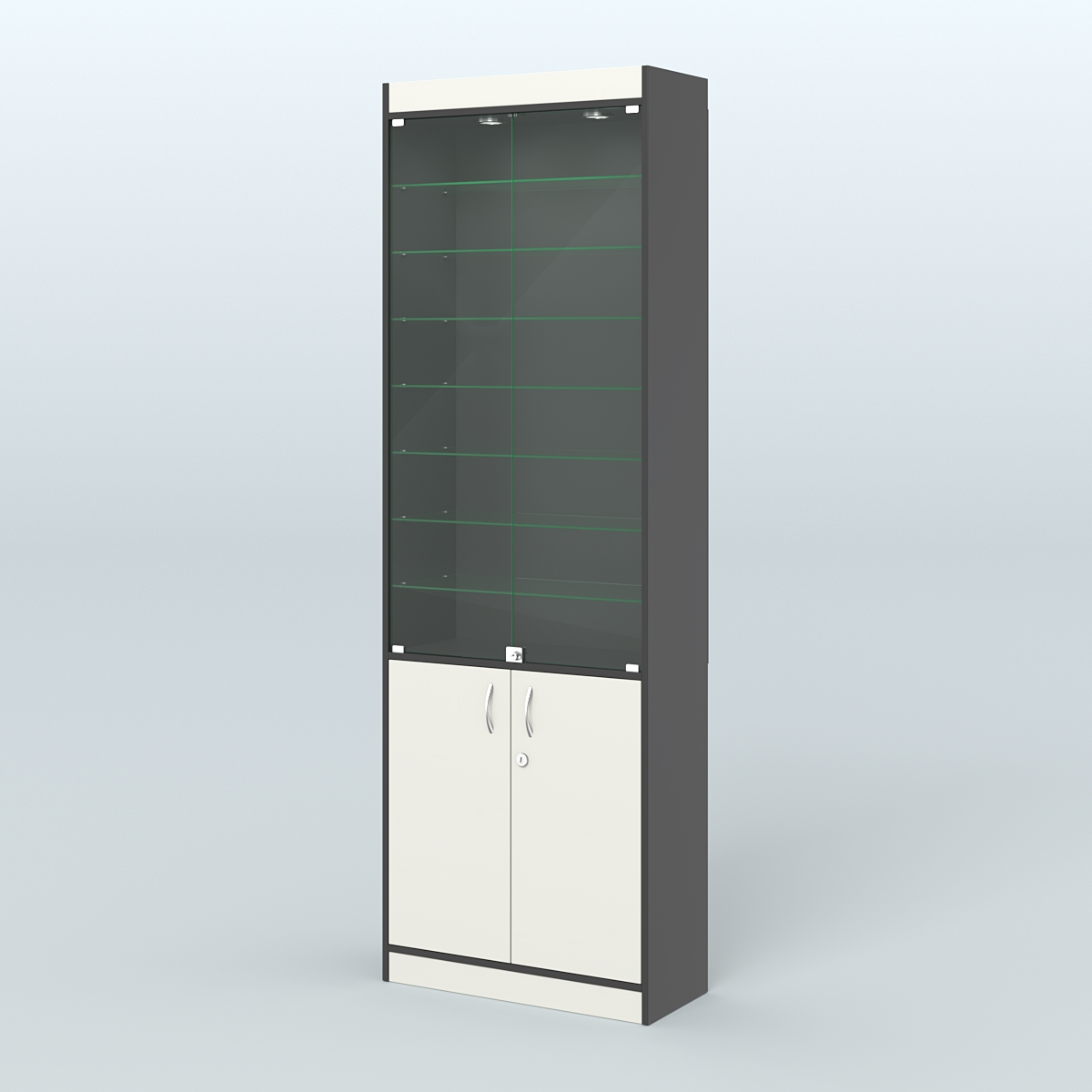 Витрина узкая из ДСП с дверками для аптеки №6-300-1 Черный + Белый