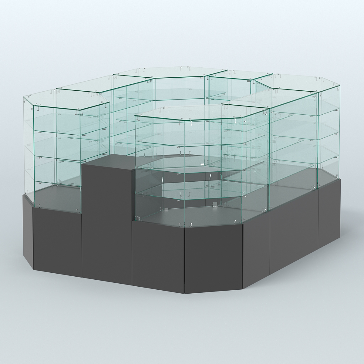 Павильон ИСТРА в центр зала №2а (закрытый) (4, 94 кв.м) Черный