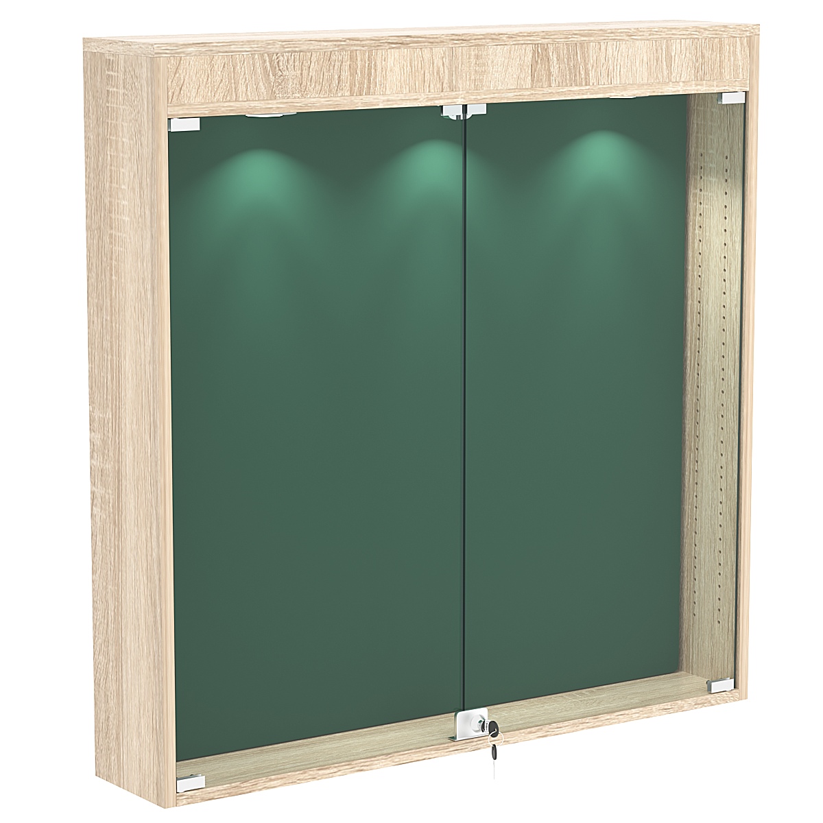 Витрина настенная БАРОН для медалей №4-4А Дуб сонома + 10 Green