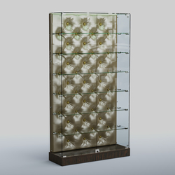 Низкая стеклянная витрина КАПИТОНЕ №9-ХП, Дуб Венге + Экокожа золотистая