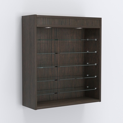 Витрина настенная №201-8Г открытая с пятью узкими полками, подсветкой и зеркалом, Дуб Венге