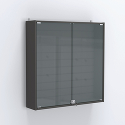 Витрина настенная №204-1Б закрытая с экономпанелью, Черный